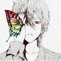 骑士会员